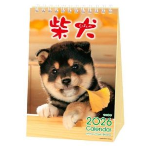 2026 Calendar 森田米雄 まるごと柴犬 卓上カレンダー2026年 スケジュール いぬ アクティブコーポレーション