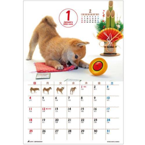 2026 Calendar 森田米雄 まるごと柴犬 卓上カレンダー2026年 スケジュール いぬ アクティブコーポレーション - 画像 (2)