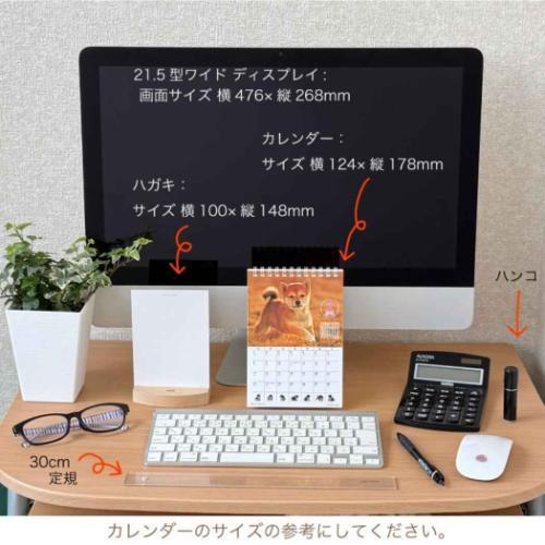 2026 Calendar 森田米雄 まるごと柴犬 卓上カレンダー2026年 スケジュール いぬ アクティブコーポレーション - 画像 (3)
