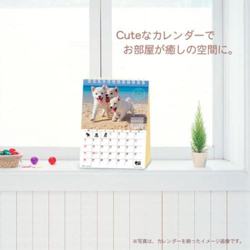 2026 Calendar 森田米雄 まるごと柴犬 卓上カレンダー2026年 スケジュール いぬ アクティブコーポレーション - 画像 (4)