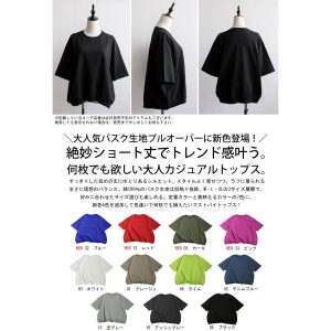 antiqua 特別送料無料 バスクＴシャツ レディース トップス 綿100・80ptメール便可