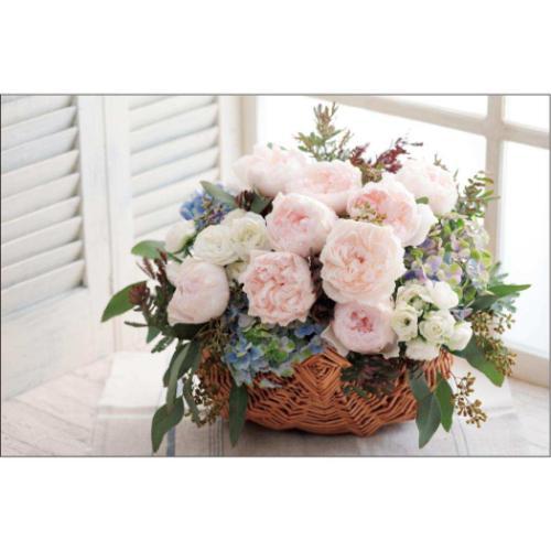 壁掛けカレンダー2026年 ばらの香り 2026Calendar フラワー APJ - 画像 (5)