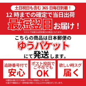 レインシューズ カバー メンズ レディース レインシューズカバー 持ち運び コインシューズ スーツ アウトドア 子供 防水 雨具 靴 大きめ 30cm