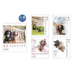 ダックス川柳 2026年カレンダー 1000136873 壁掛け 週めくり リング 174253
