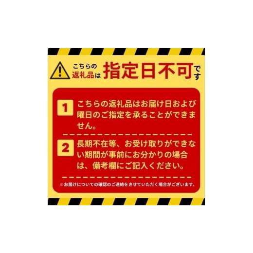 ふるさと納税 ファッション 靴 奈良県 奈良市 ワッペン 付き レインブーツ 15cm 長靴 キッズ 子供 おしゃれ かわいい スケーター skater トラ とら チアフル … - 画像 (6)