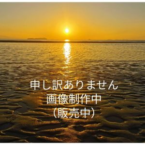 グリマー 00353-AIN 3.5オンス インターロック ドライ ノースリーブ 10枚セット メンズ (ネイビー,3L)