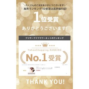 NISHIORI プリザーブドフラワー 8点セット ドライフラワー 髪飾り ローズ・リーフ・霞草 コサージュ ヘアアクセサリー 和装洋装 レディース フラワーアレンジメント