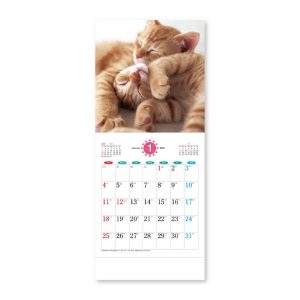 メール便発送 新日本カレンダー 2026年 壁掛けカレンダー THE CAT's NK8727