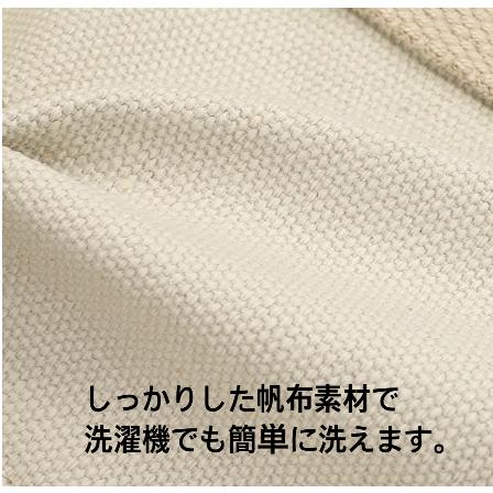 【新商品】バッグ トートバッグ レディース 帆布 大容量 ショルダーバッグ 肩掛け 斜め掛け 手提げ カジュアル 旅行 通勤 通学 しっかり ショッピング - 画像 (7)