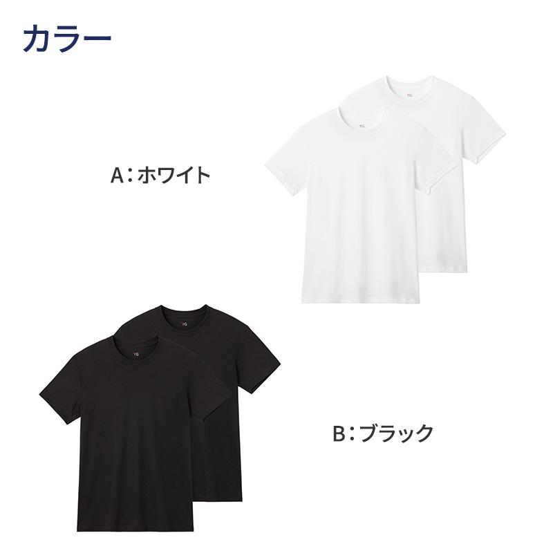 YG グンゼ tシャツ メンズ 半袖 クルーネック 抗菌 防臭 2枚組 M L LL 丸首 GUNZE インナーシャツ 男性 紳士 下着 肌着 インナー ニオイ対策 夏 スーツ下 - 画像 (2)