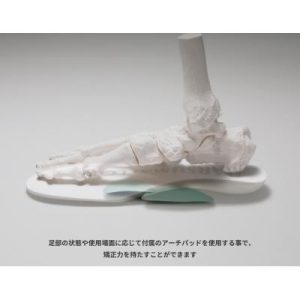 ふるさと納税 小牧市 フュージョンフレキシーMARSHMALLOW(マシュマロ)サイズ:XL　[030M13-05]