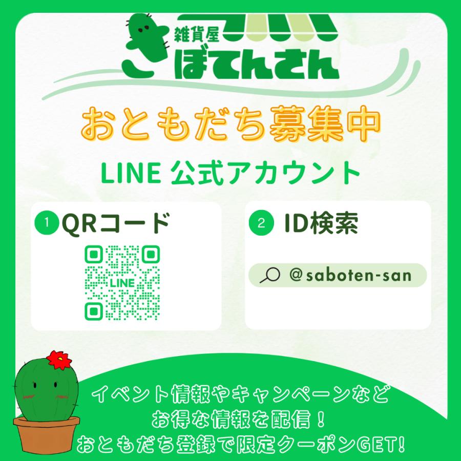 ショーツ レディース ハイウエストショーツ 綿 3枚セット 深め 綿パンツ コットン 下着 深履き お腹すっぽり 20代 30代 40代 50代 女性用 - 画像 (9)