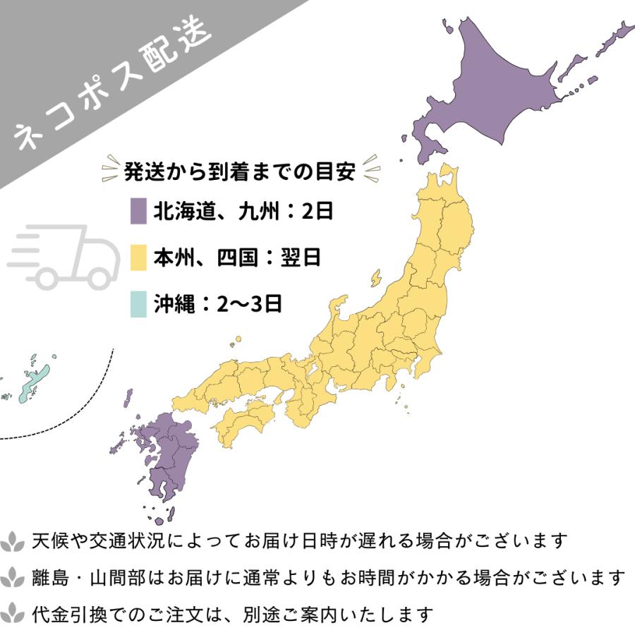 ショーツ レディース ハイウエストショーツ 綿 3枚セット 深め 綿パンツ コットン 下着 深履き お腹すっぽり 20代 30代 40代 50代 女性用 - 画像 (8)